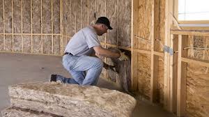 Best Garage Insulation  in St Louis, MI